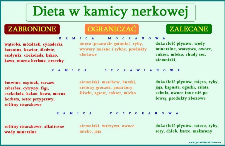 DIETA W KAMICY NERKOWEJ BJ medical